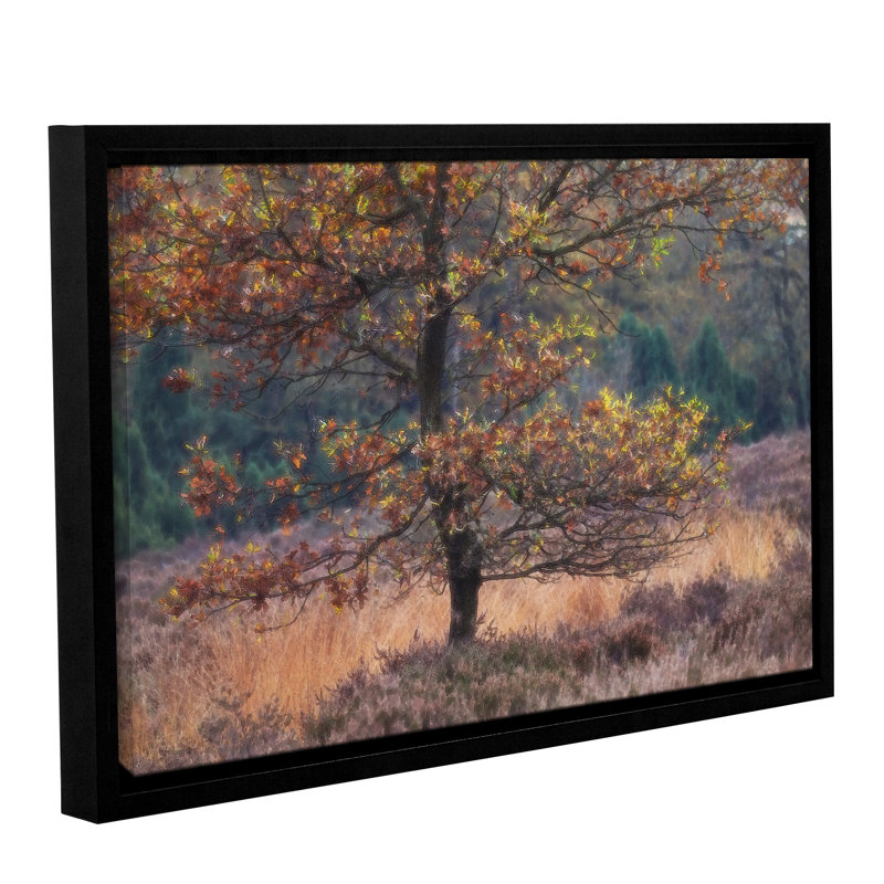 Loon Peak Oak Framed Graphic Art on Wrapped Canvas Wayfair